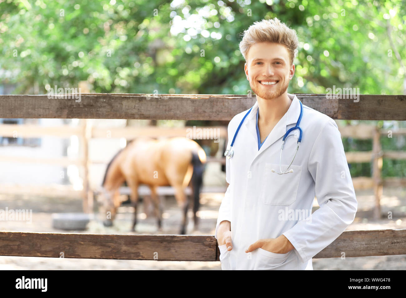 Veterinarian near paddock with horse on farm Stock Photo Alamy