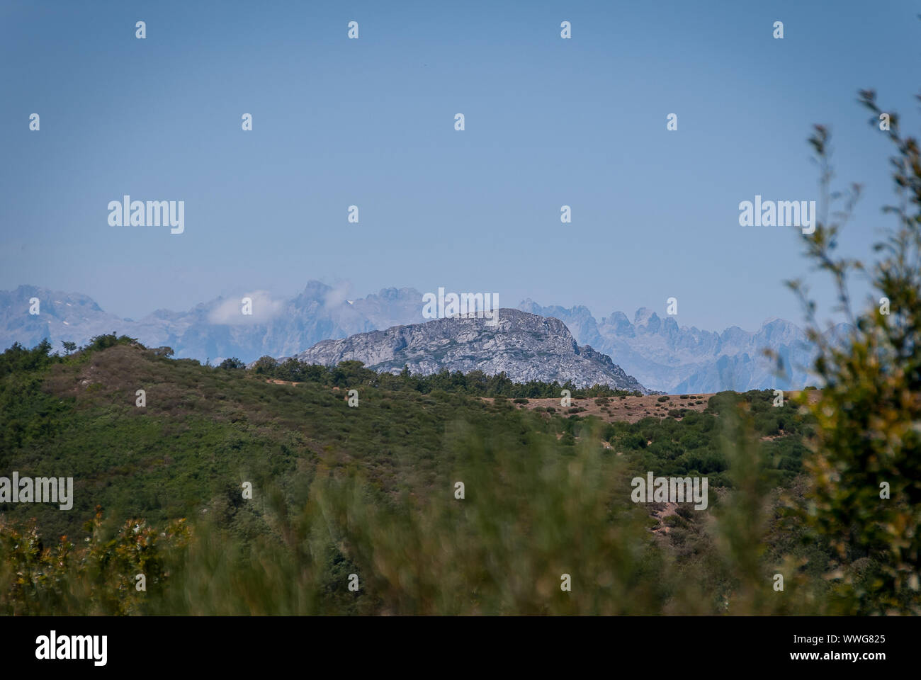Spain. Mountain of Palencia and Picos de Europa in the background. National Park of Fuentes Carrionas. Palencia Stock Photo