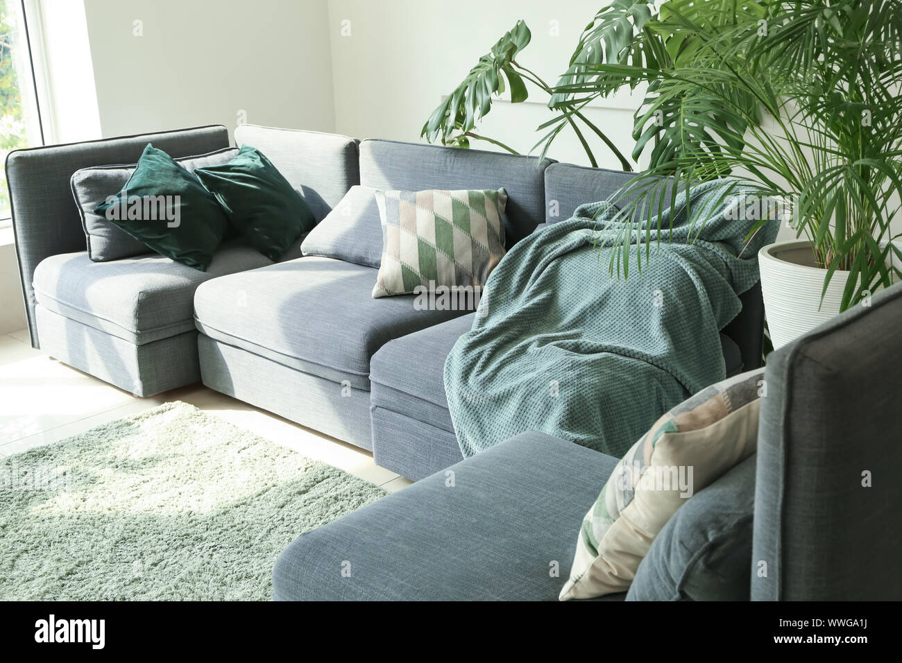Interior of modern room with sofa and houseplants Stock Photo - Alamy