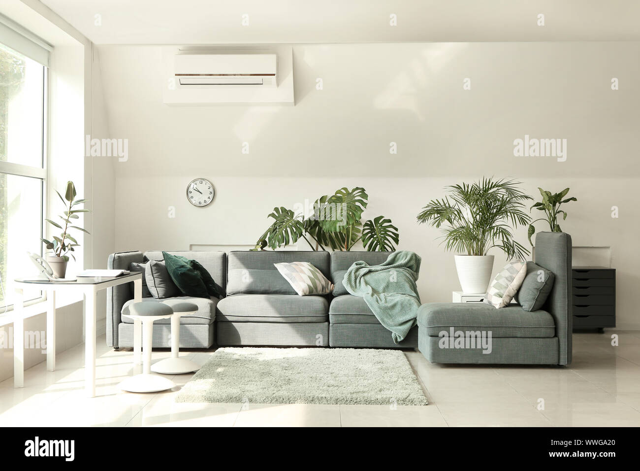 Interior of modern room with sofa and houseplants Stock Photo - Alamy