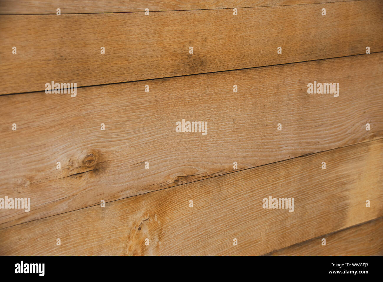 Oak wood panels or planks Stock Photo