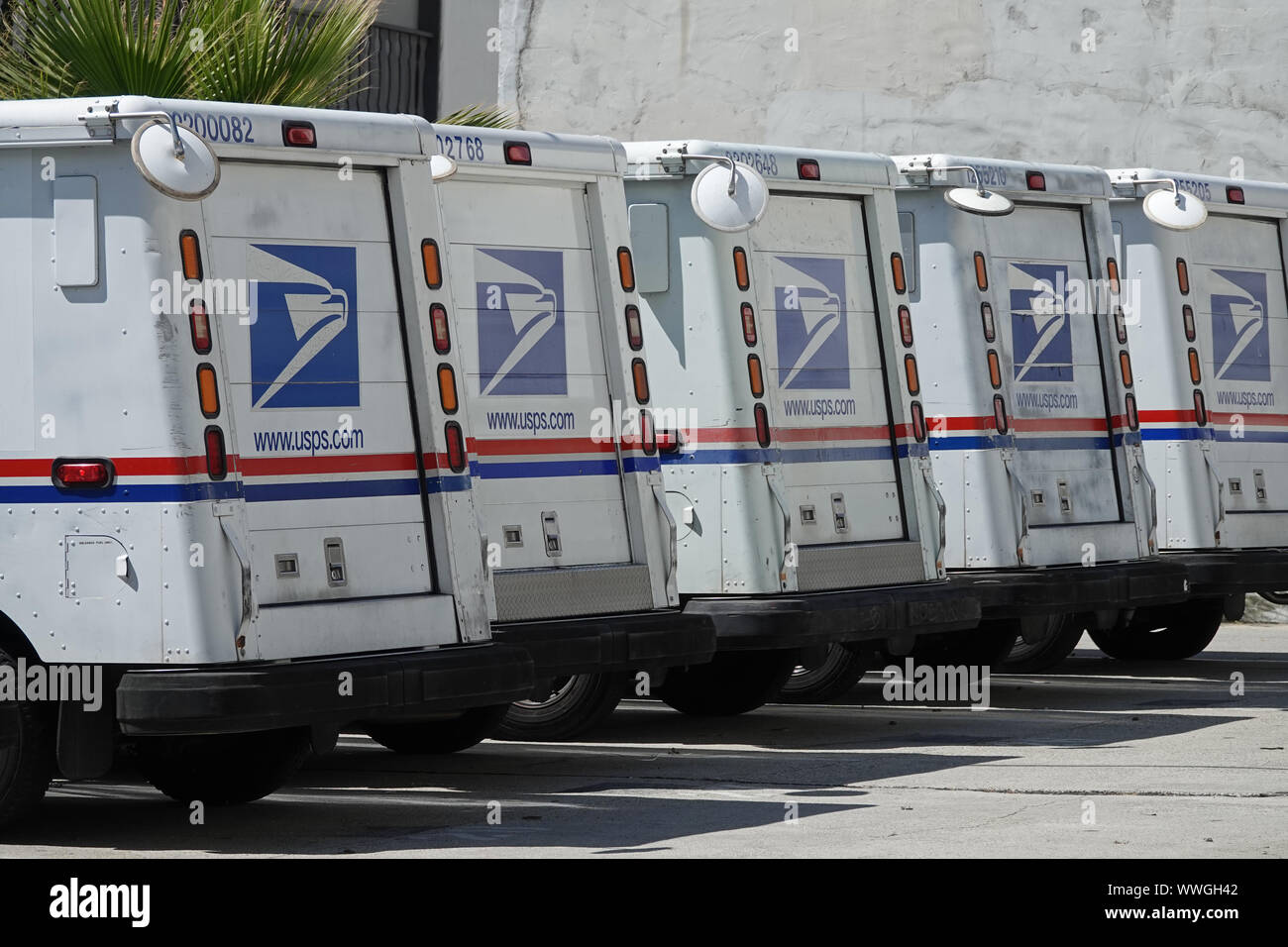 Los Angeles, CA / USA - Aug. 18, 2019: Grumman LLVs (Long Life Vehicles), owned and operated by the United States Postal Service (USPS), are shown. Stock Photo