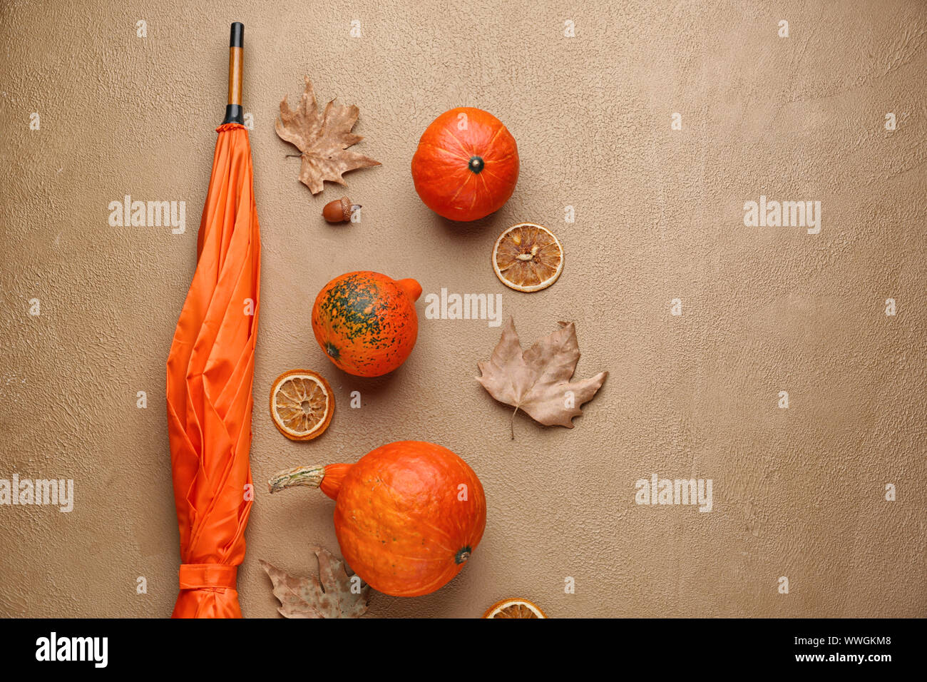 Autumn composition with fresh pumpkins and umbrella on color background ...