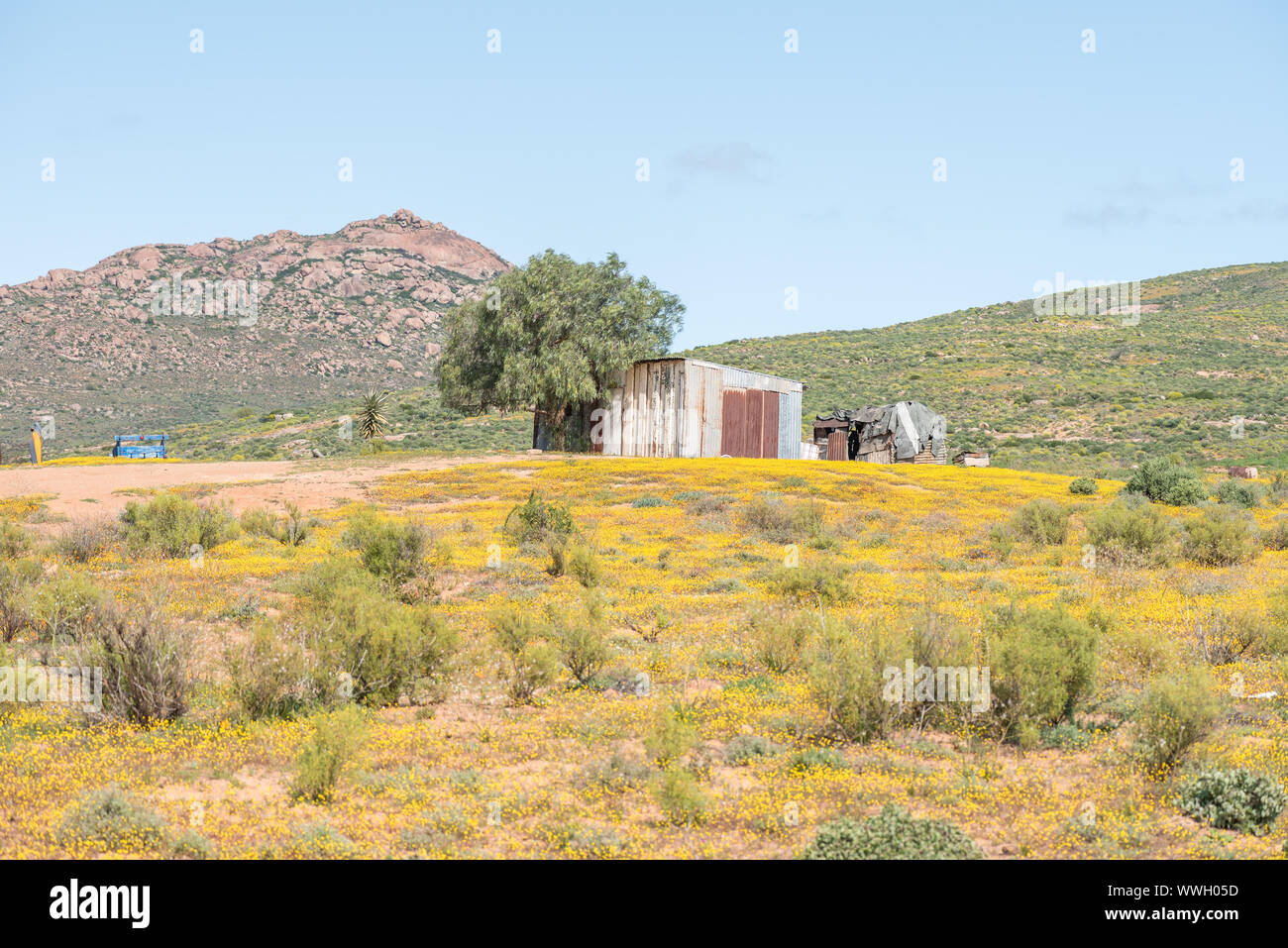 A Nama farm near Spoegrivier (spit river) in the Northern Cape Namaqualand region of South Africa Stock Photo
