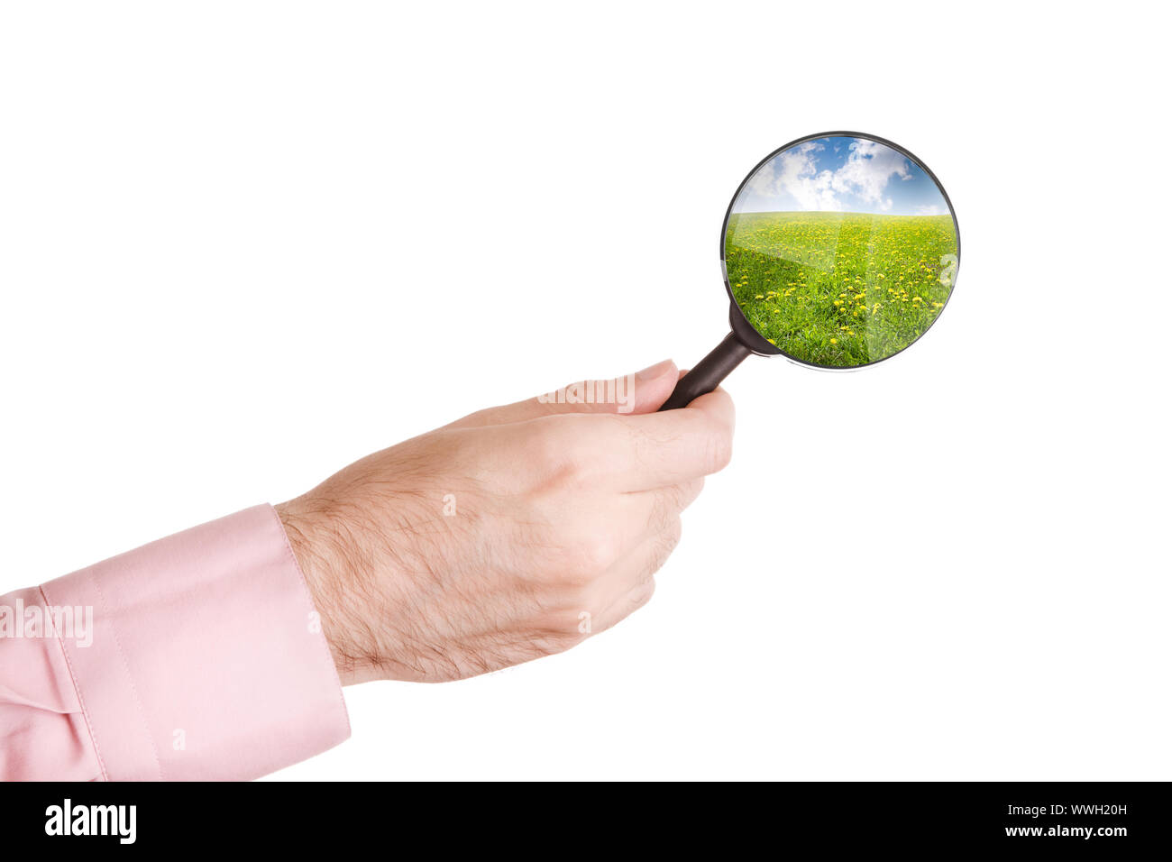hand of man with loupe isolated on white background and summer ...