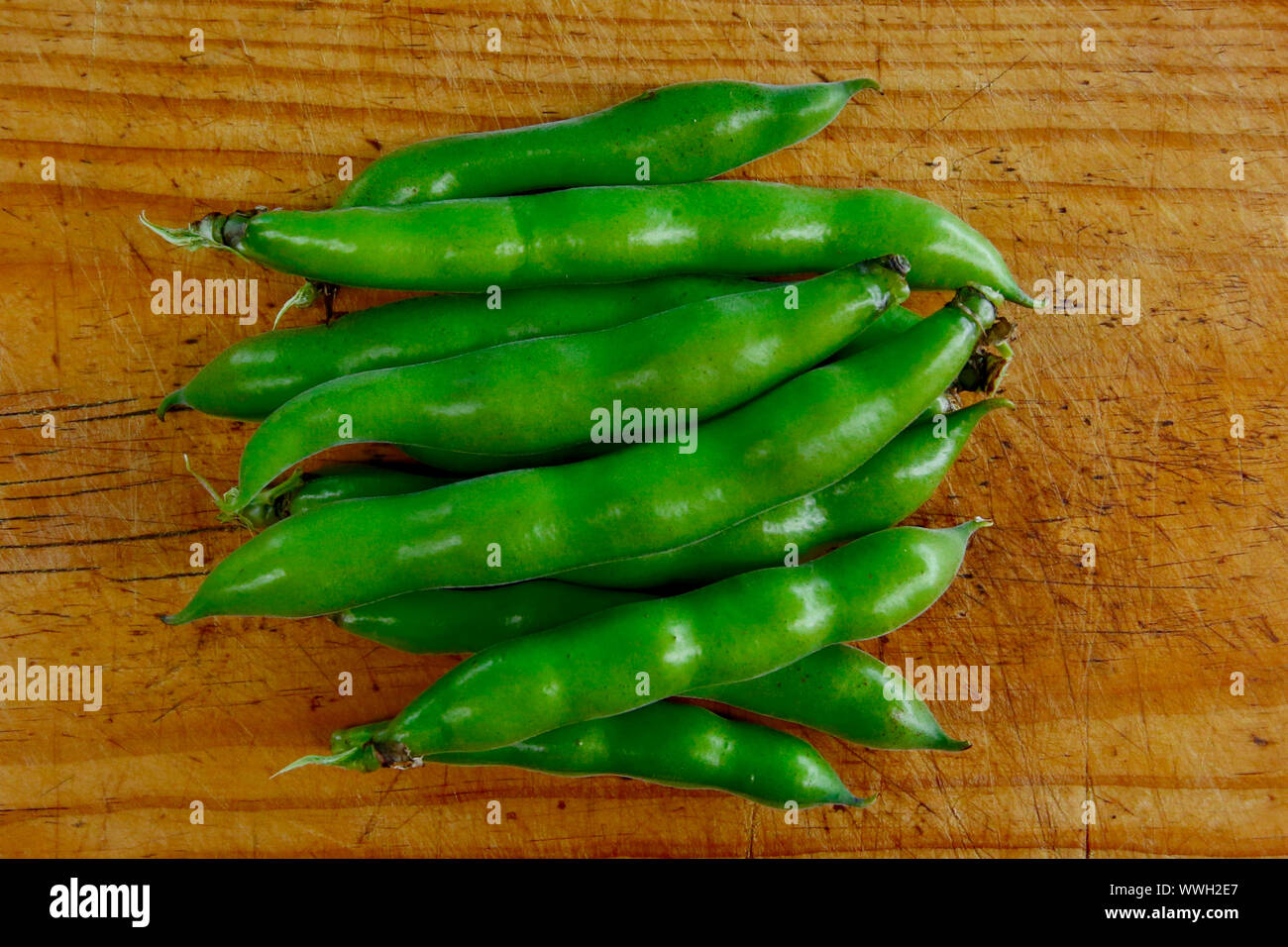 Broad beans. Stock Photo