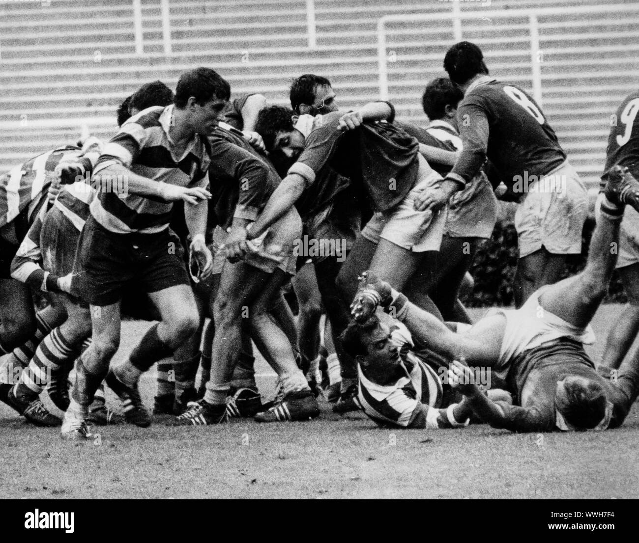 partenope rugby against cus roma, championship final, 15 May 1966 Stock  Photo - Alamy