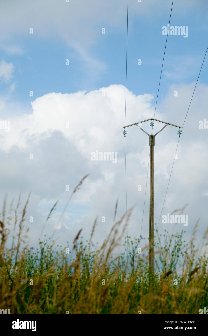 French Telephone Pole In Landscape Stock Photo Alamy