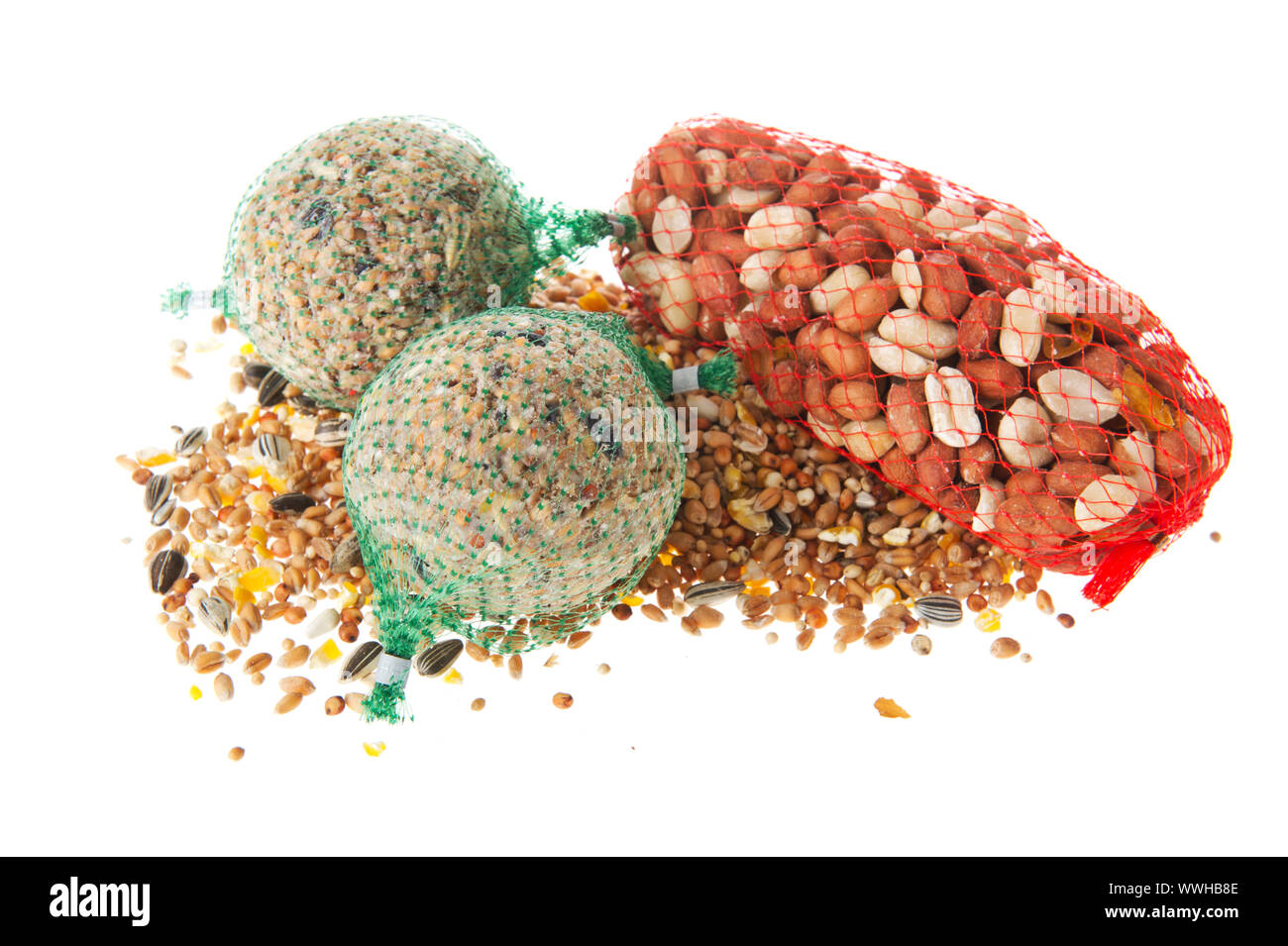 Feeding the birds in winter with peanuts seed and fat balls Stock Photo