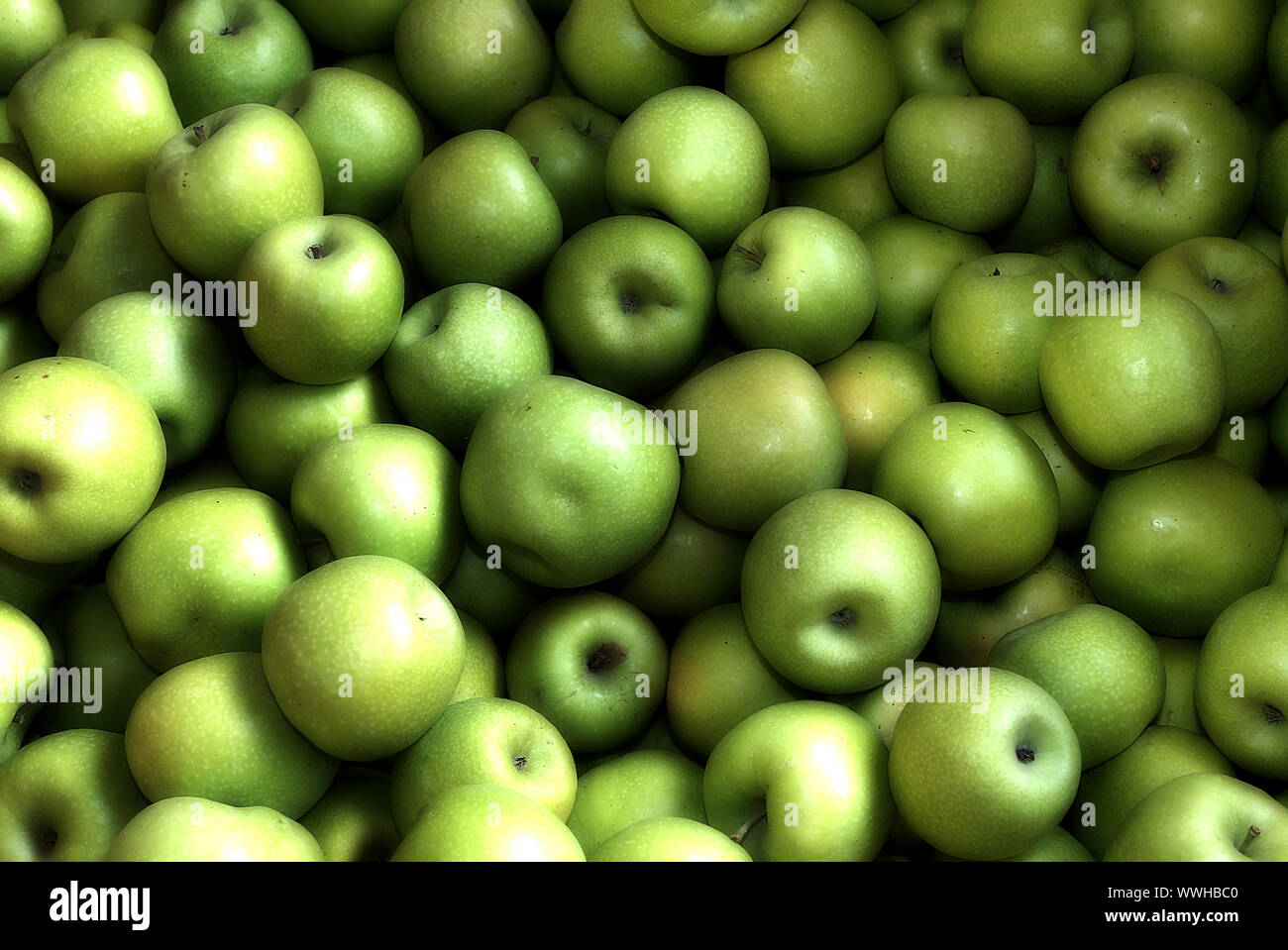 green apples Stock Photo