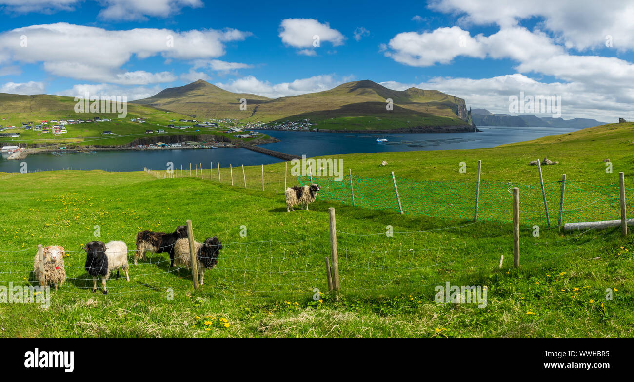 Faroe Islands, Sandavagur wide panorama with fish farms Stock Photo