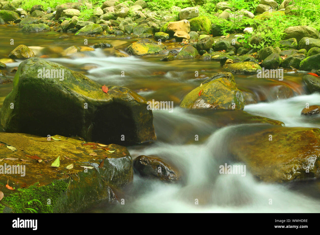 Landscape with mountain stream in forest of Zhangjiajie Stock Photo
