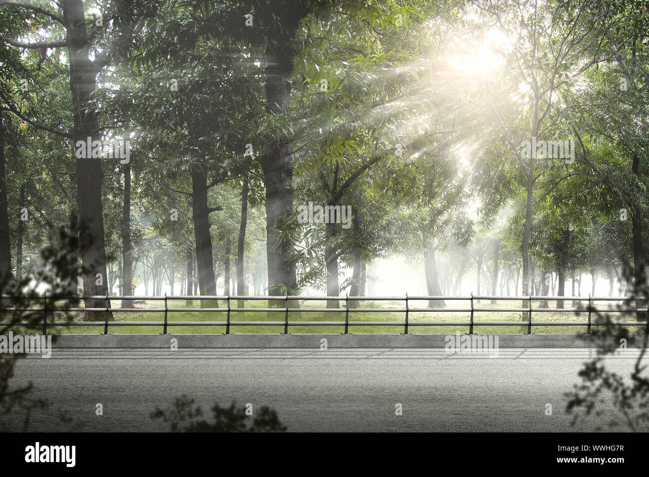 Asphalt road on the green forest with sunlight background Stock Photo ...
