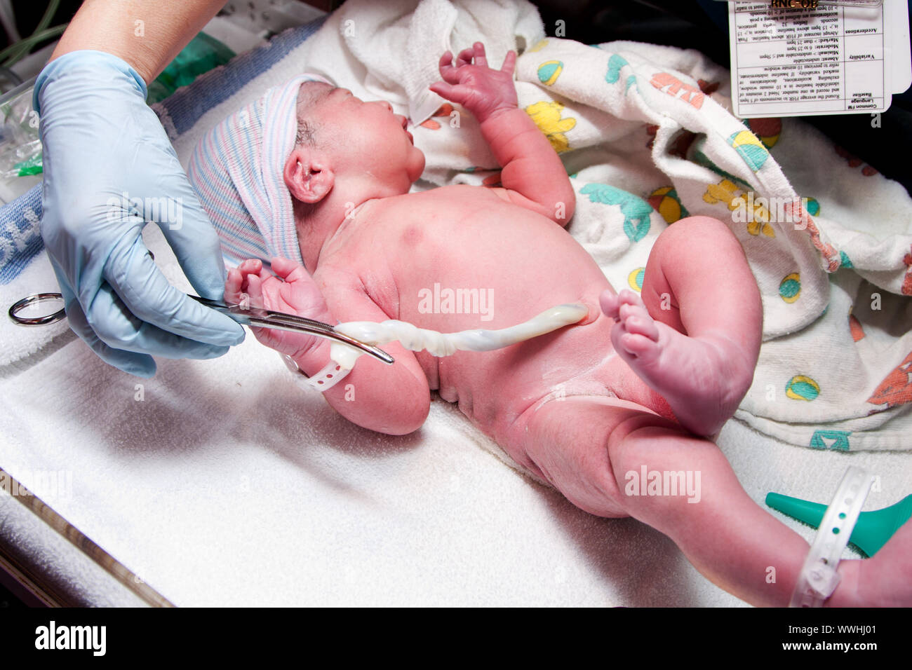 New born baby - girl with remainder of umbilical cord after successful  childbirth. Real birthing and new