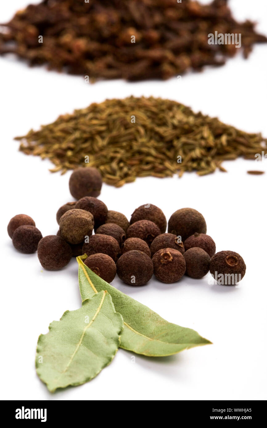 bay leaves, cloves, caraway and black pepper on white background Stock