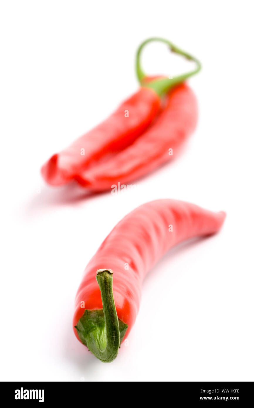 three red chilly peppers on white background Stock Photo - Alamy