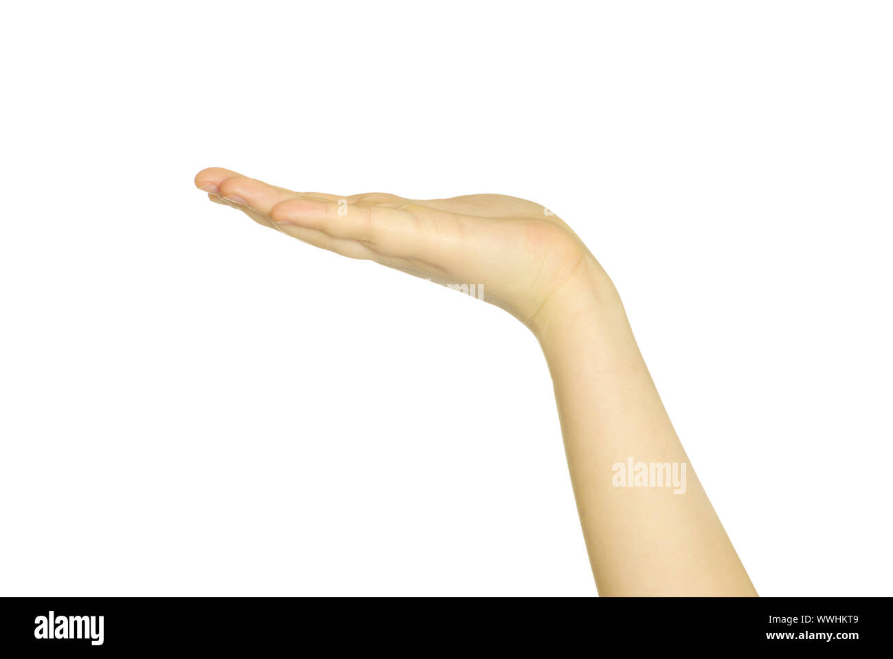 Empty woman hands isolated on white background Stock Photo - Alamy