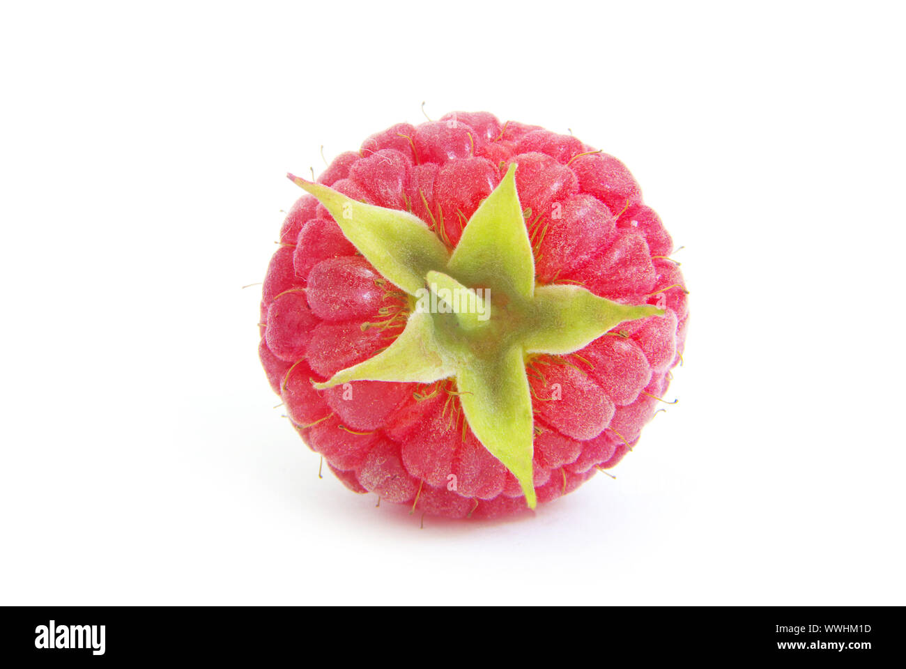 fresh raspberry closeup isolated on white background Stock Photo - Alamy