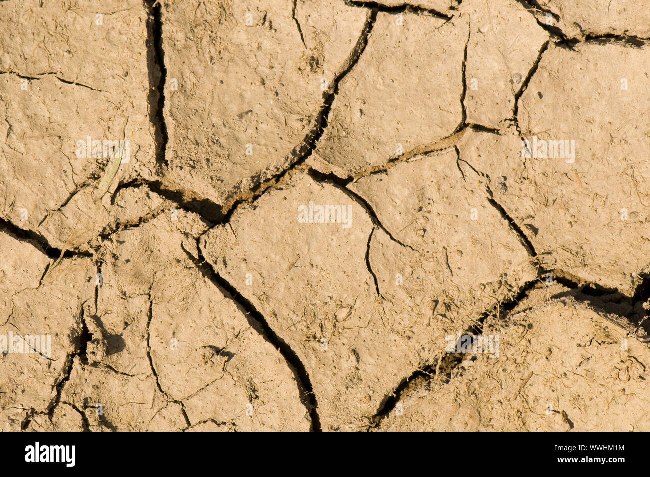 Cracks in the soil hi-res stock photography and images - Alamy