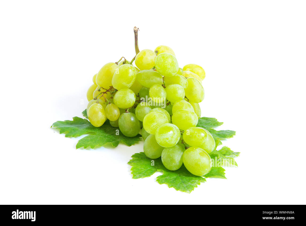 grape with green leaves isolated on white background Stock Photo - Alamy