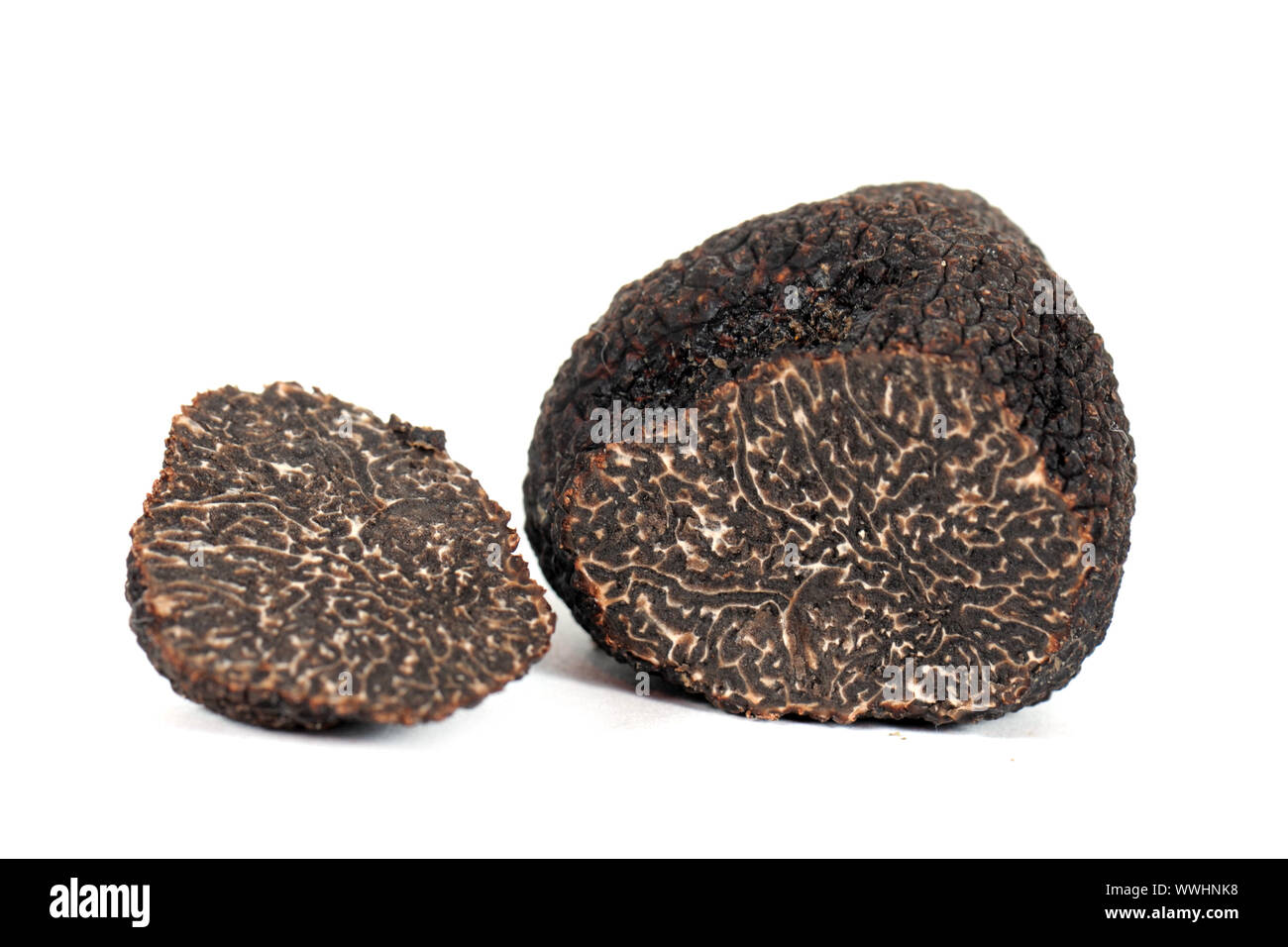 black truffles (tuber melanosporum) in front of a white background Stock Photo
