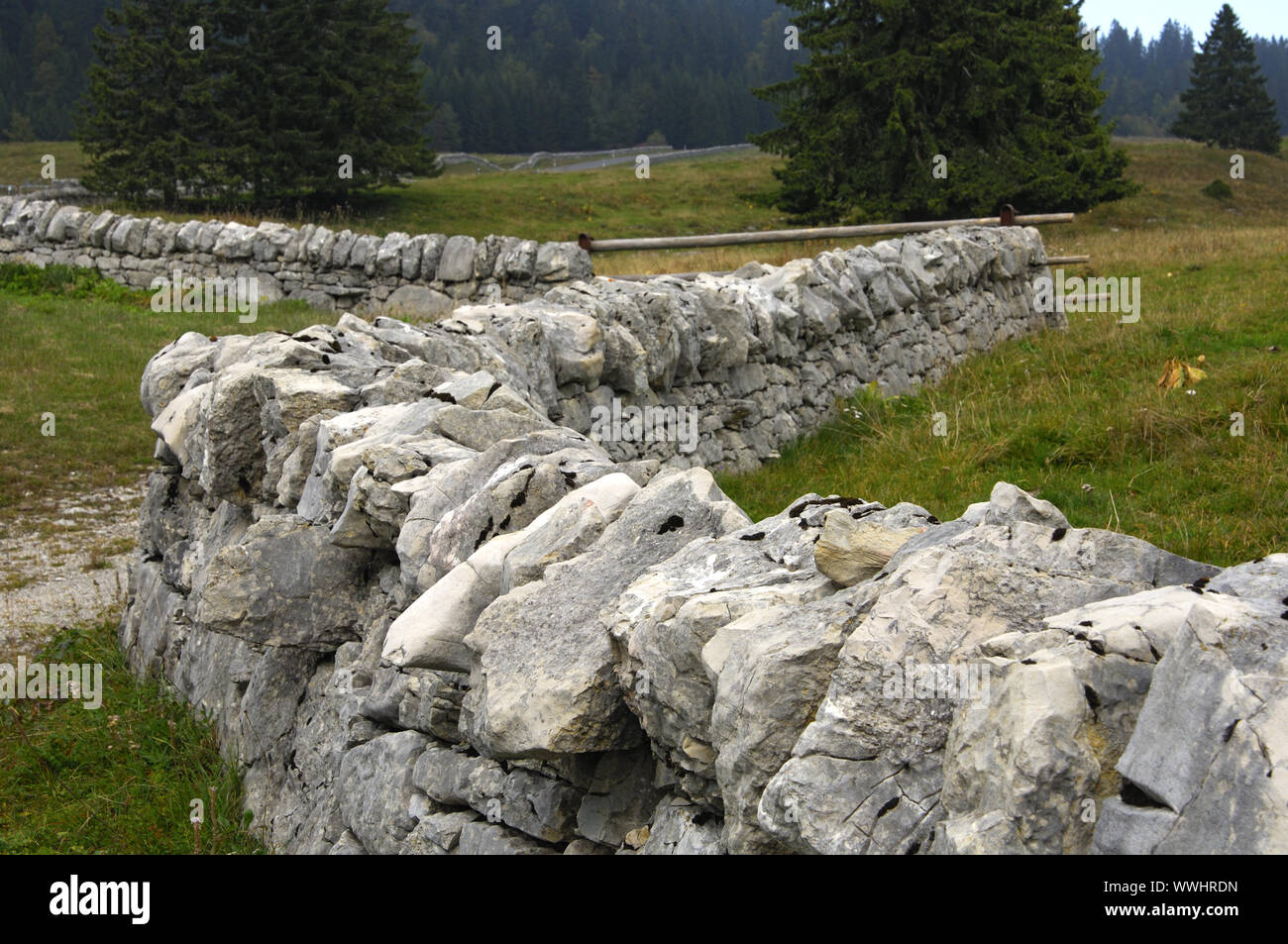 Dry wall in the Jura, Switzerland Stock Photo