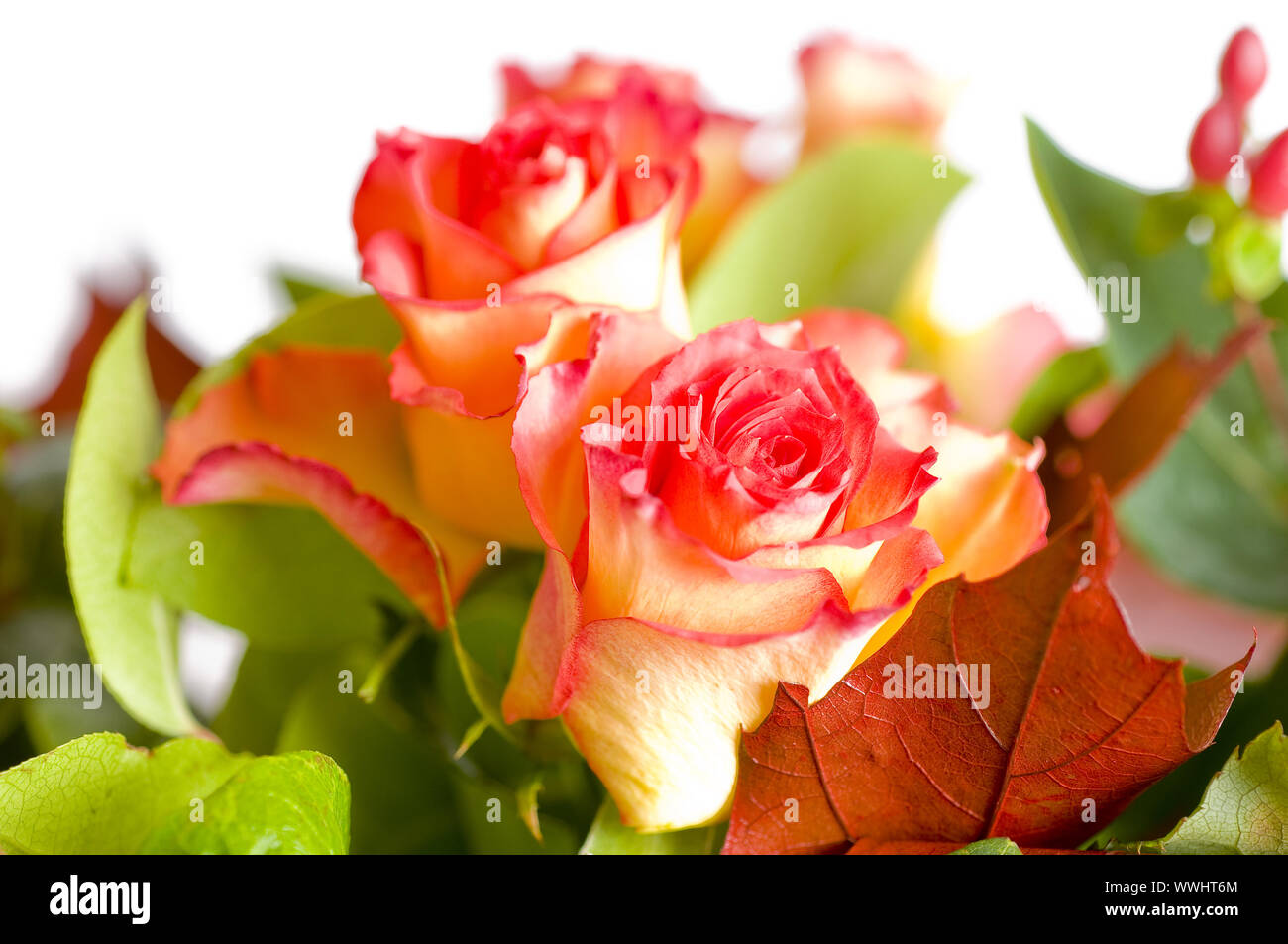 autumn bouquet of roses Stock Photo - Alamy
