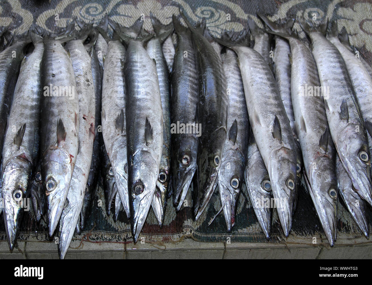 Freshly caught fish at the Mutrah Fish Market Stock Photo