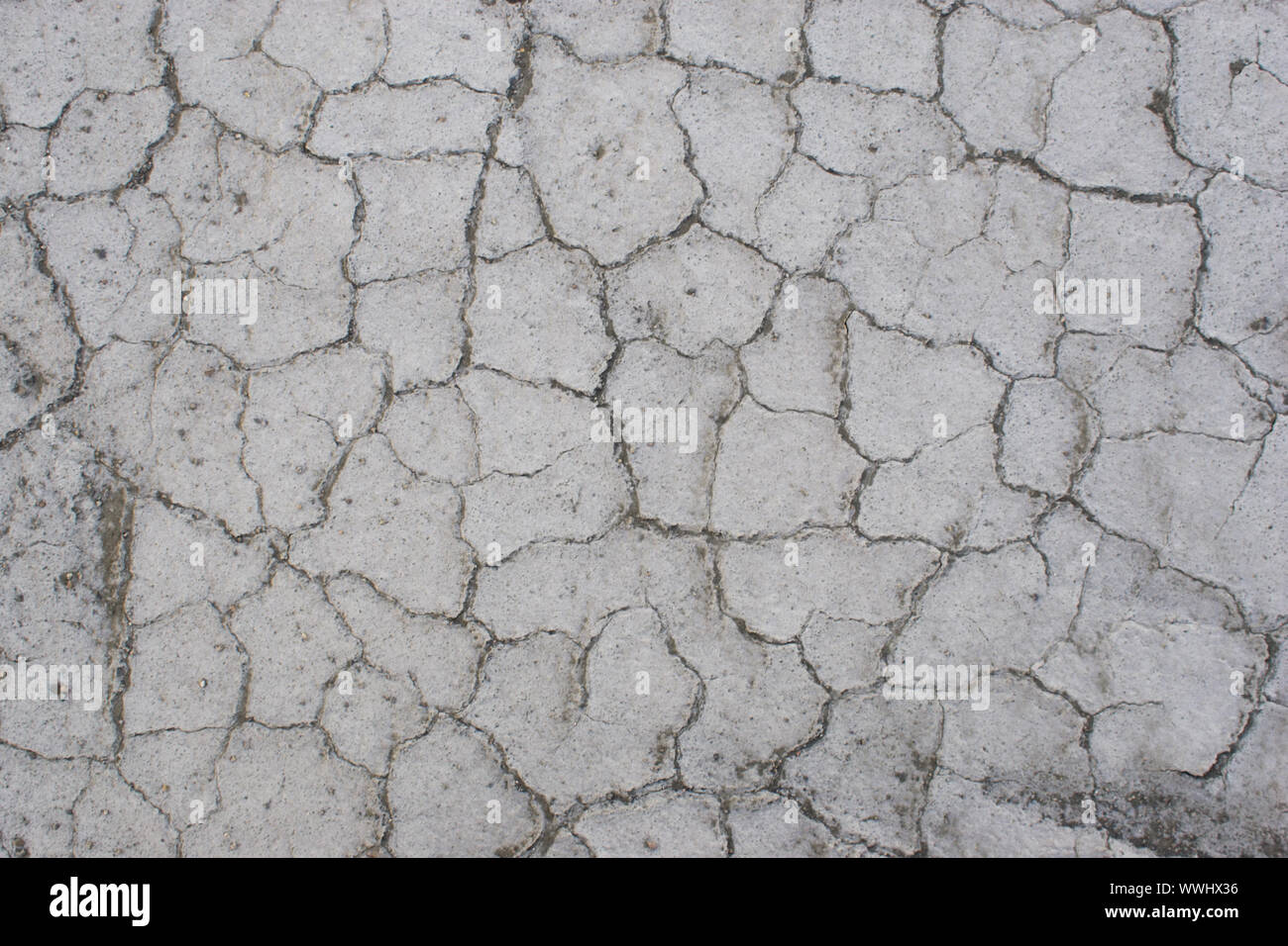 The Cracked Surface Of Ground Stock Photo Alamy 