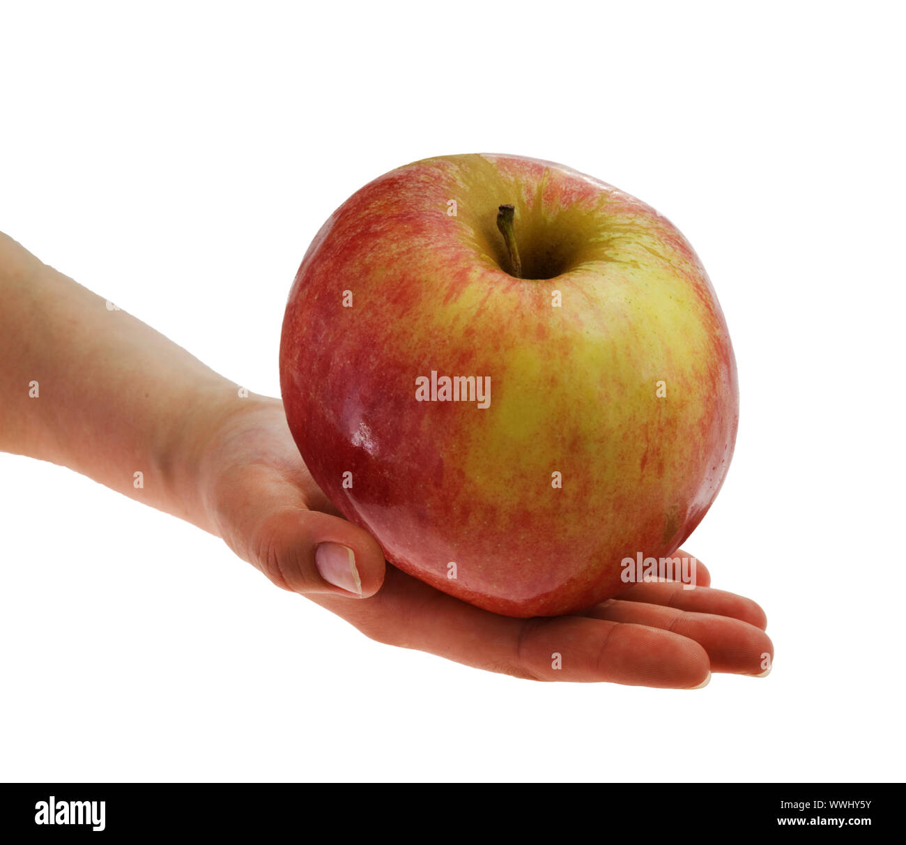 Hand holding big red with yellow sidewise an apple on a white background Stock Photo