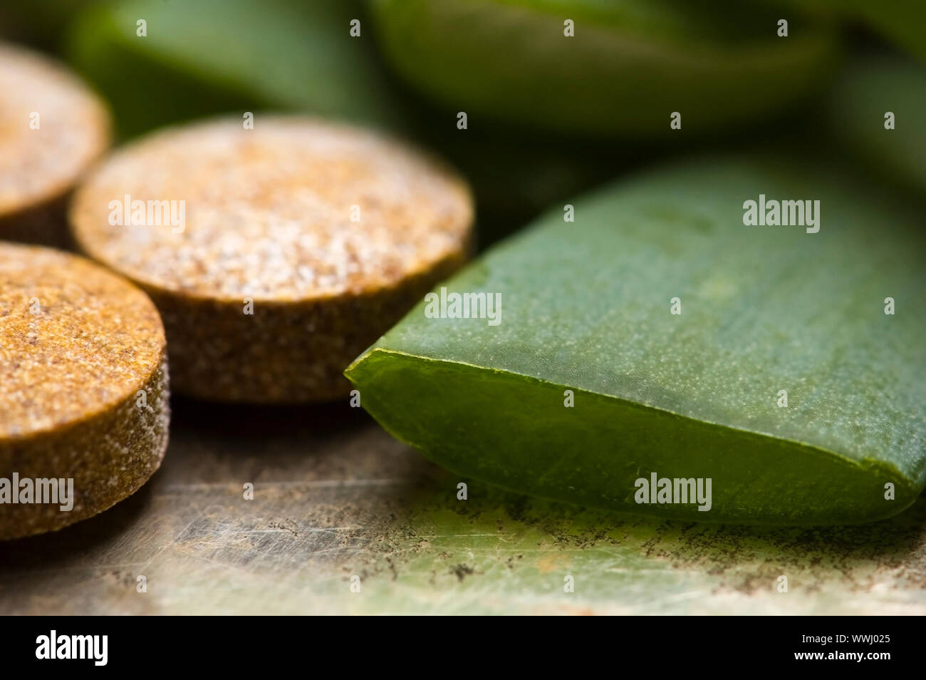 aloe vera plant with pills herbal medicine Stock Photo Alamy
