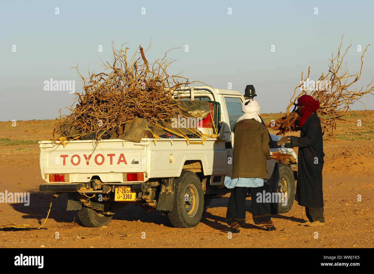 Firewood transport in the Sahara Stock Photo Alamy