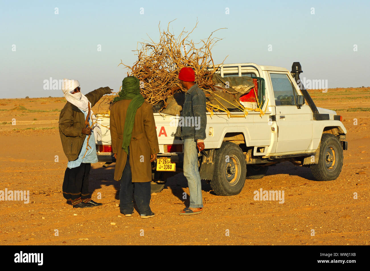 Procurement of firewood, Sahara Stock Photo