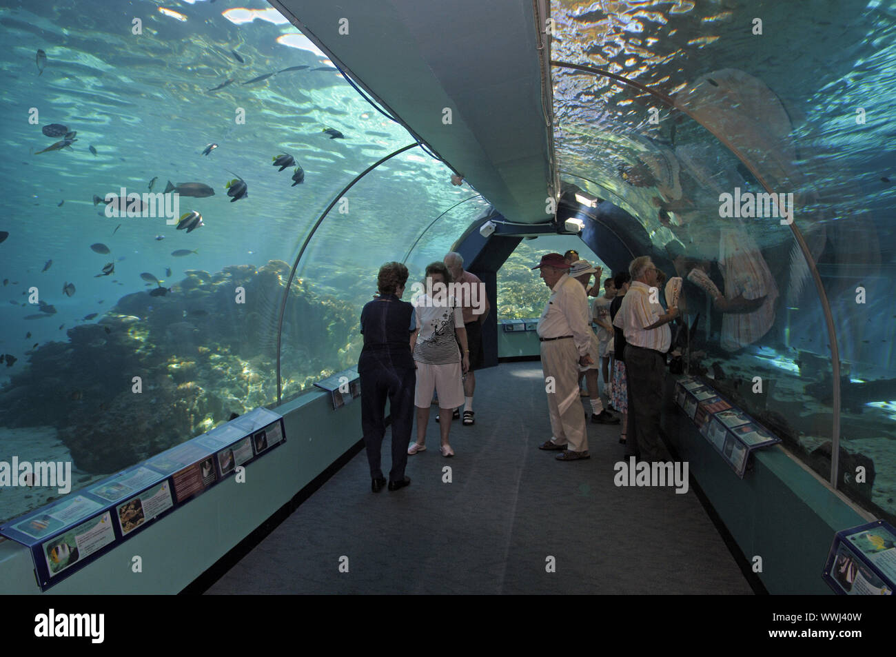 Tourists in the tunnel of HQ Reefworld in Townsville, Australia, the world's largest reef aquarium. Stock Photo