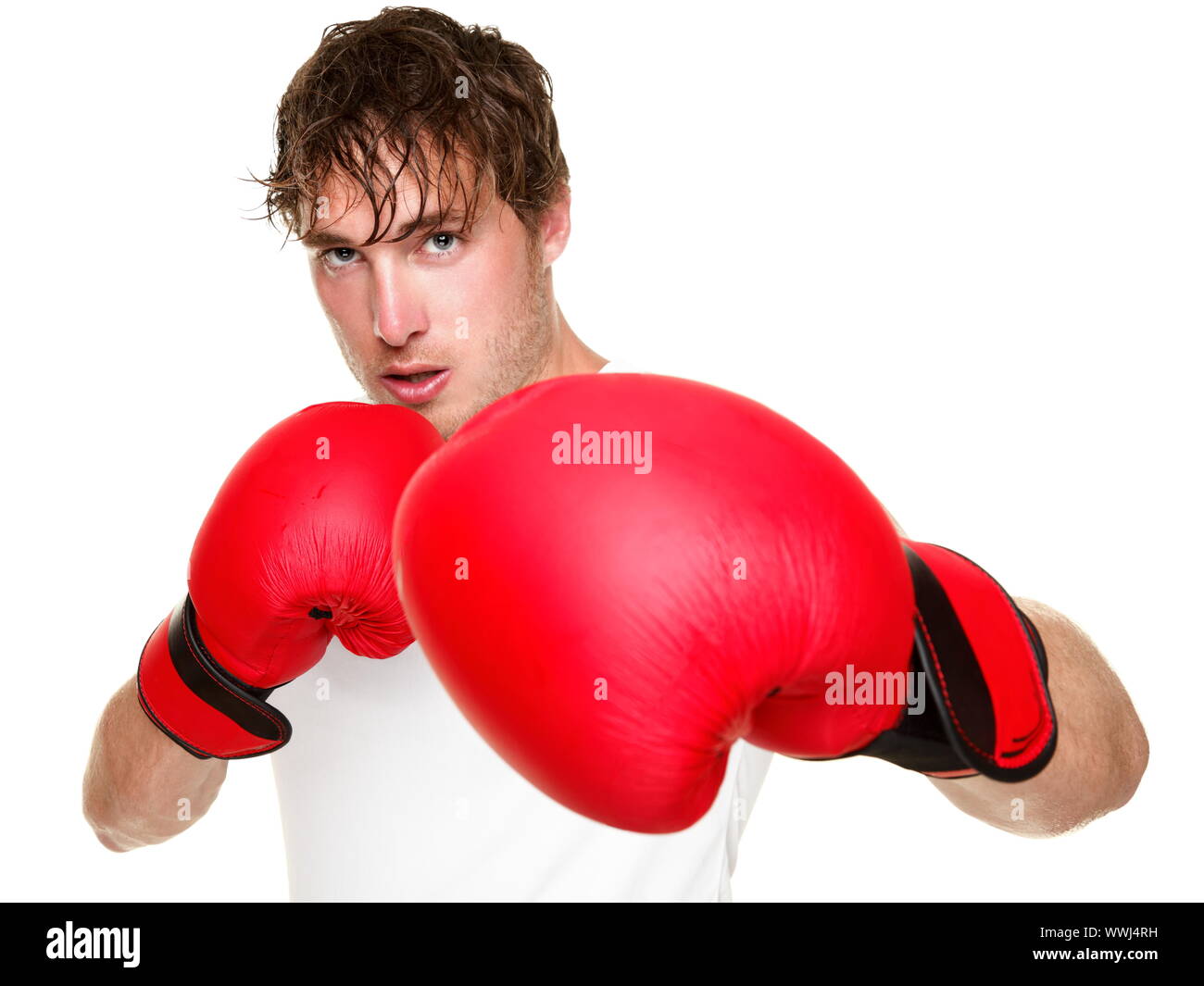 Fitness boxer boxing. Man punching with red boxing gloves isolated on white background. Fit