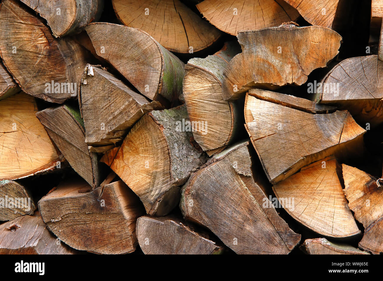 Wood piles background Stock Photo
