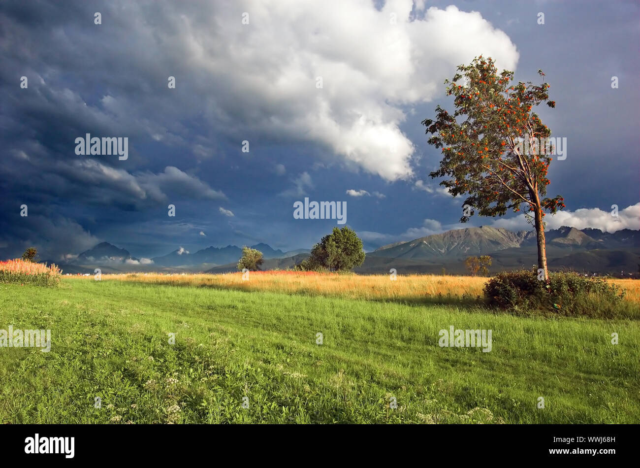 Tatra Mountains storm landscape Stock Photo - Alamy