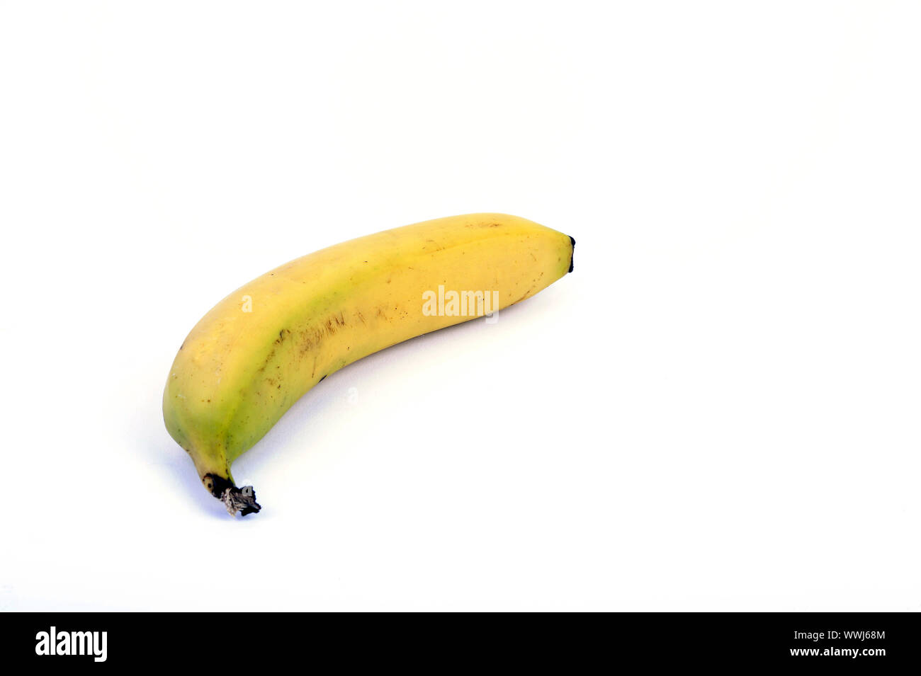 Banane, Musa Stock Photo