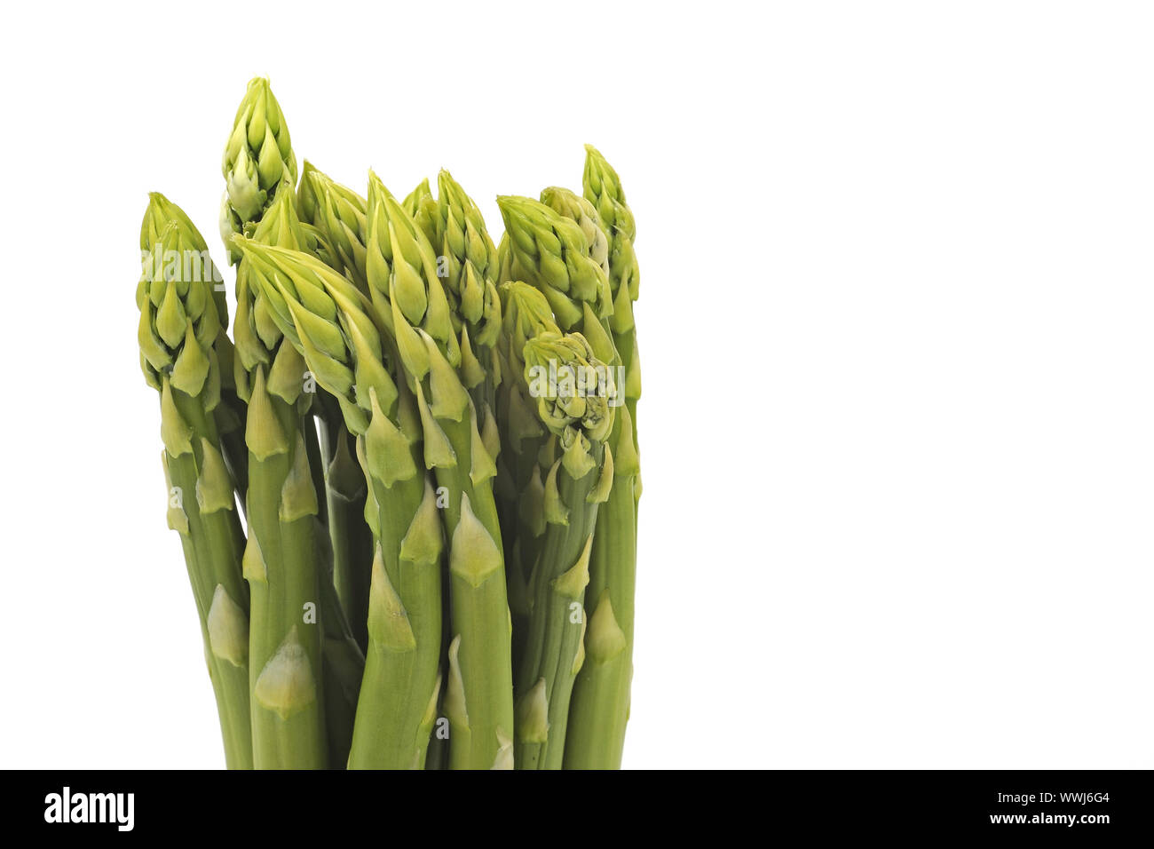 green asparagus, Aspagurus Stock Photo