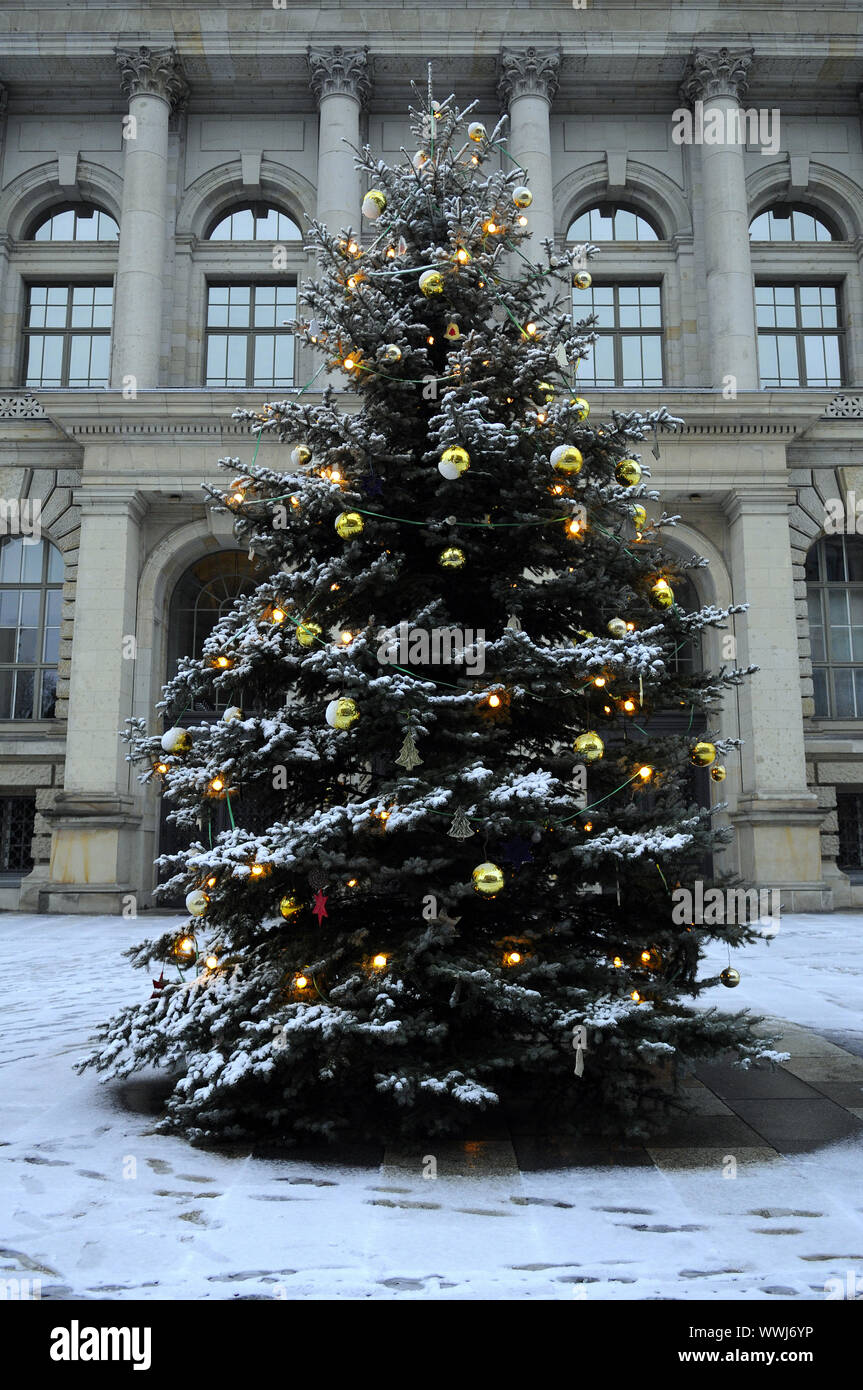 snow-covered christmas tree in front of Prussian Parliament in Berlin Stock Photo