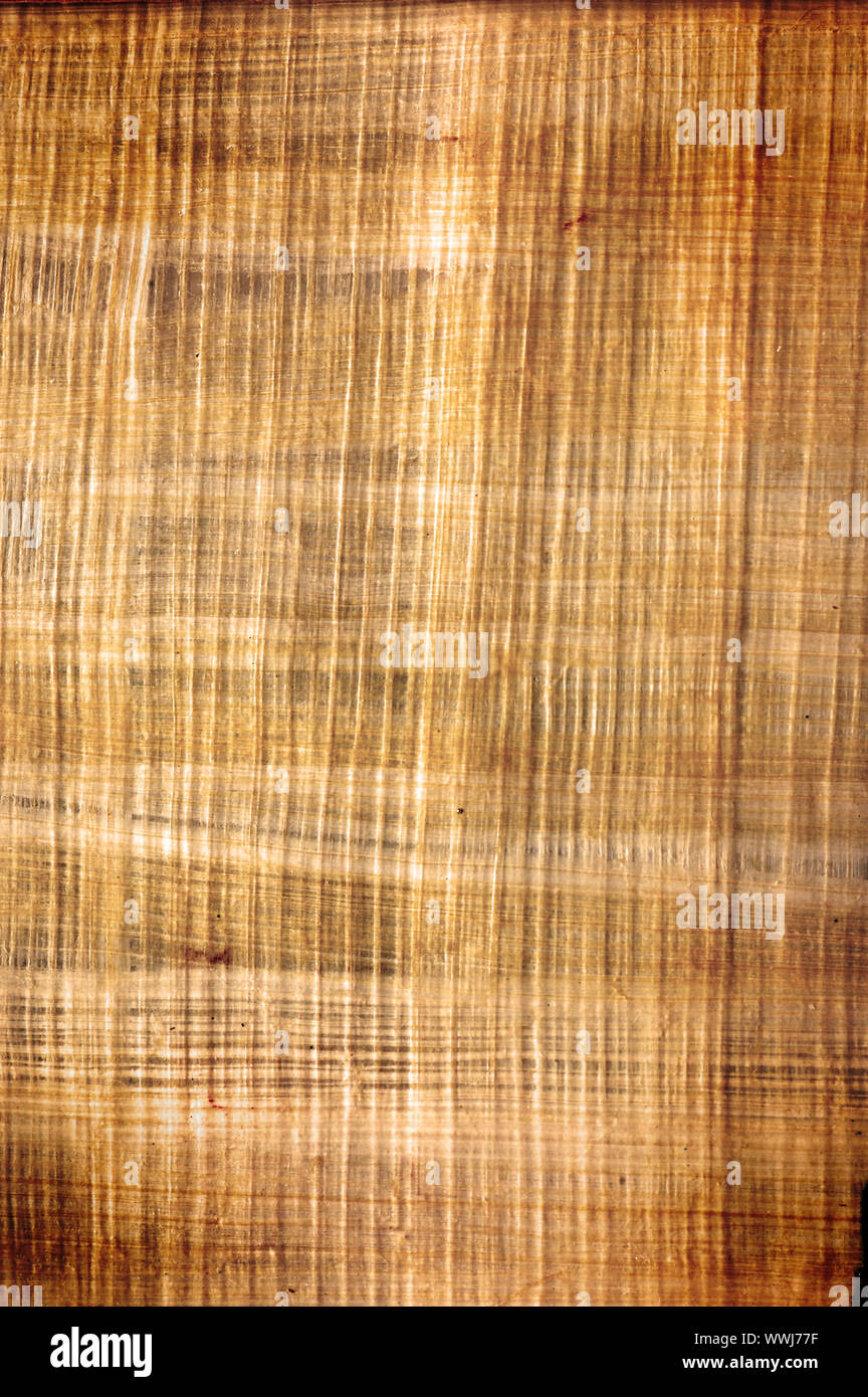 Old real parchment background for all desings Stock Photo Alamy