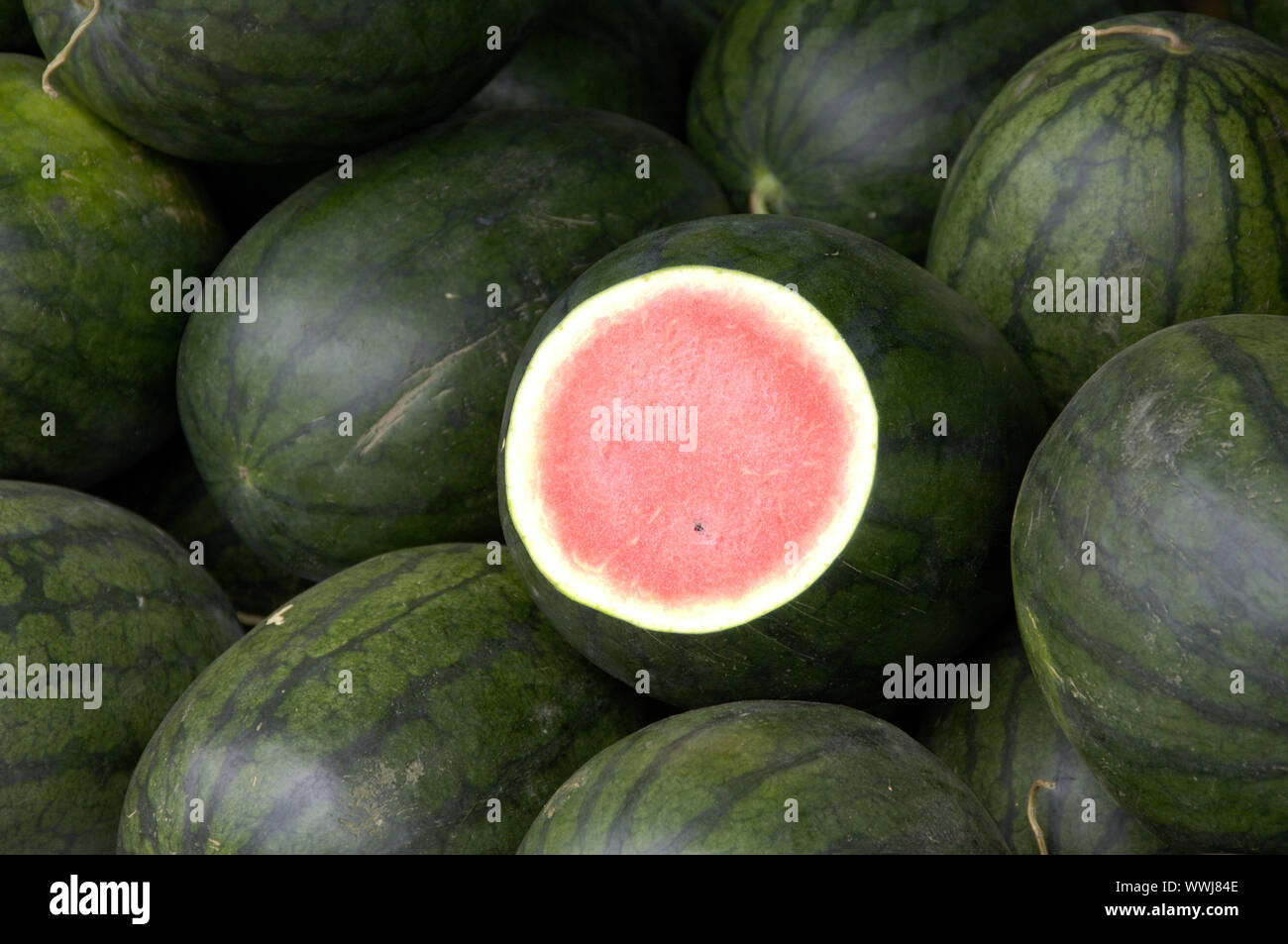 watermelons Stock Photo