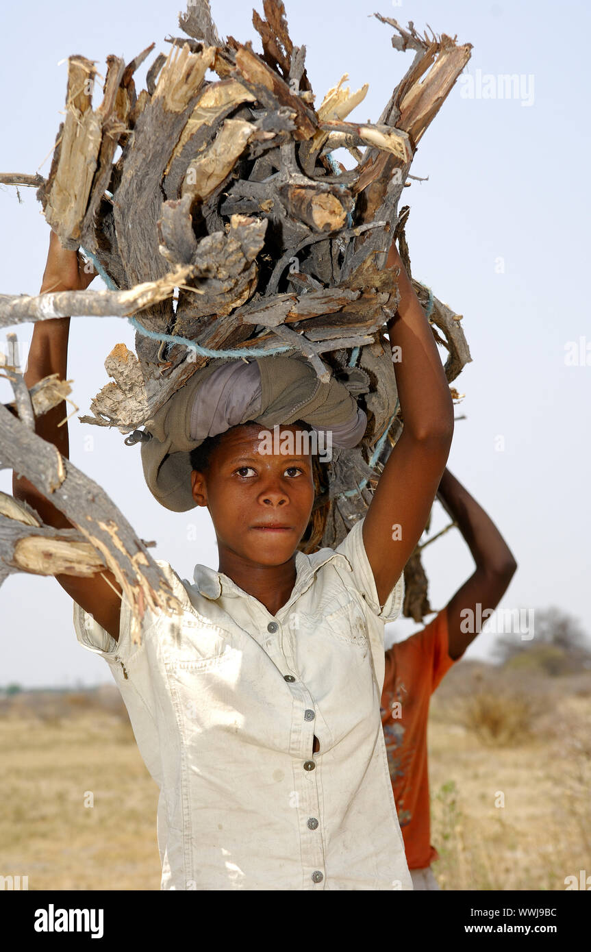 Young wood collector, Botswana Stock Photo