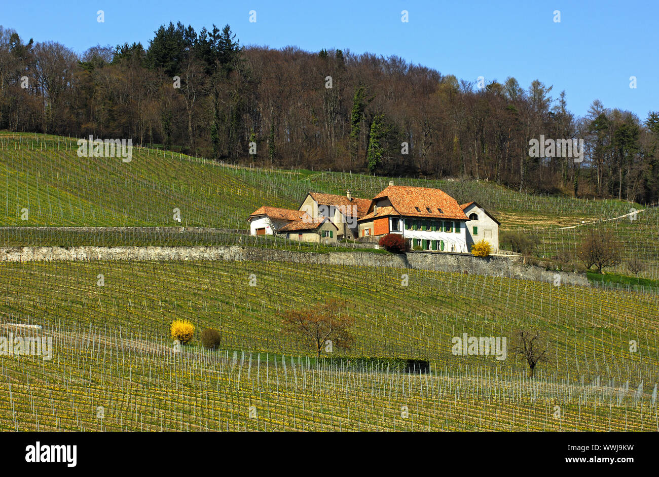 Jura mountains switzerland hires stock photography and images Alamy