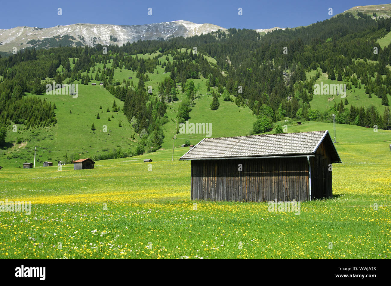 Heustadl on an alpine meadow, Tyrol Stock Photo