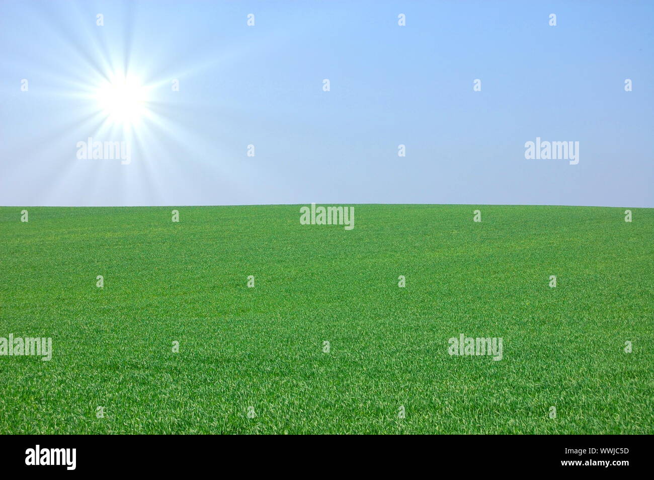green summer landscape with grass and blue sky Stock Photo - Alamy