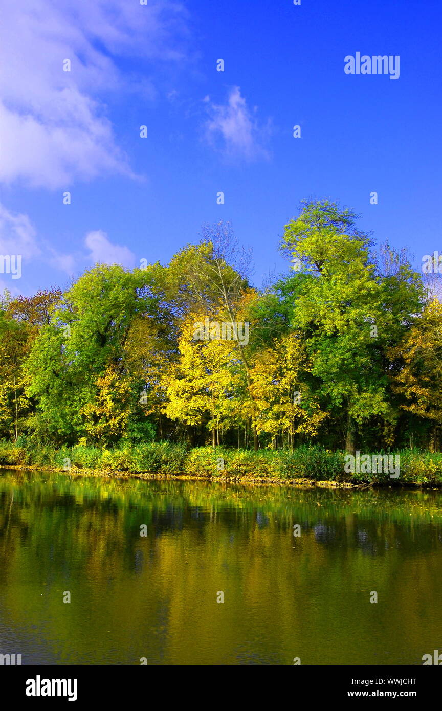 colorful fresh autumnal forest under blue sky Stock Photo - Alamy