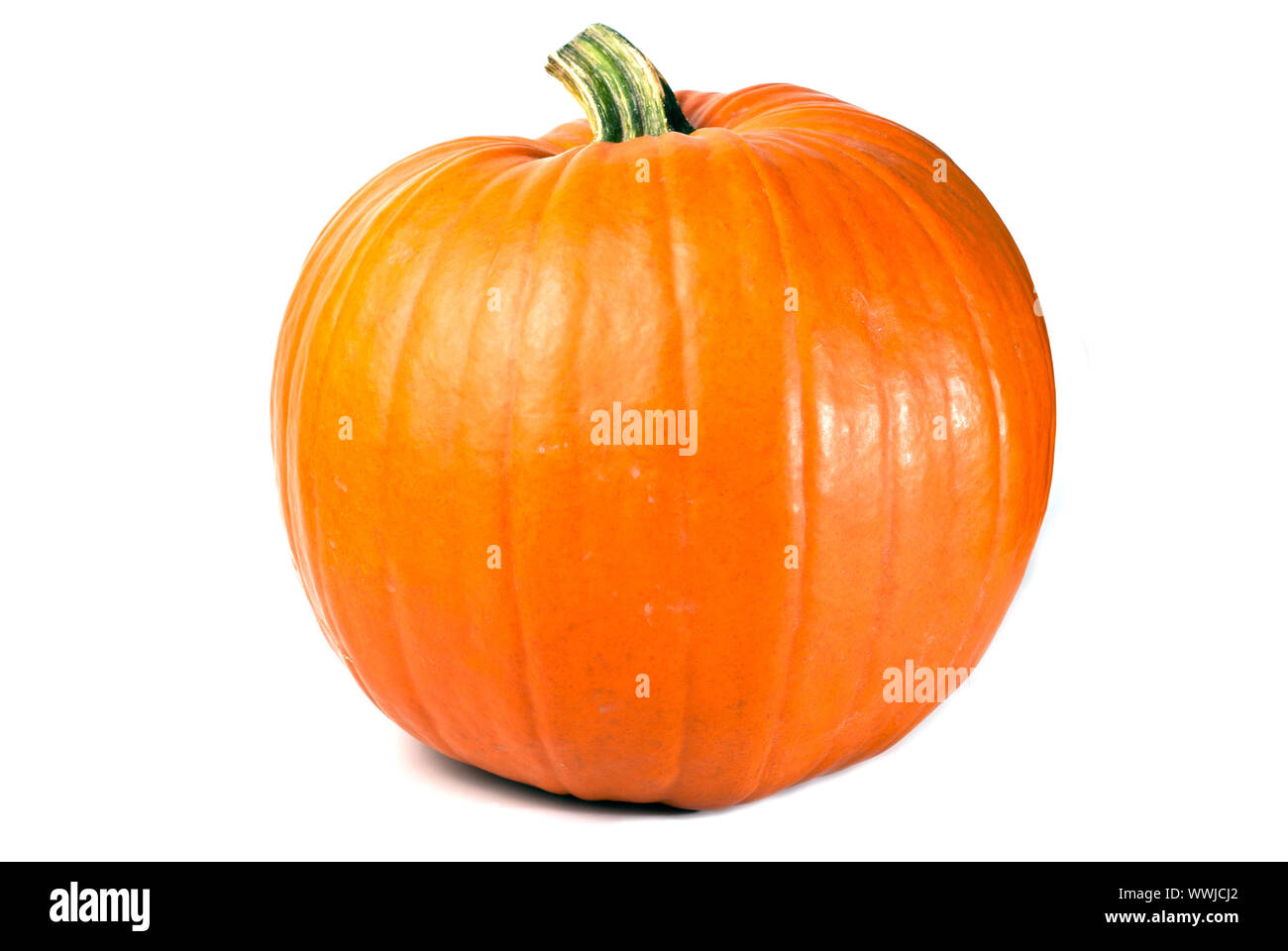 Pumpkin optional Stock Photo