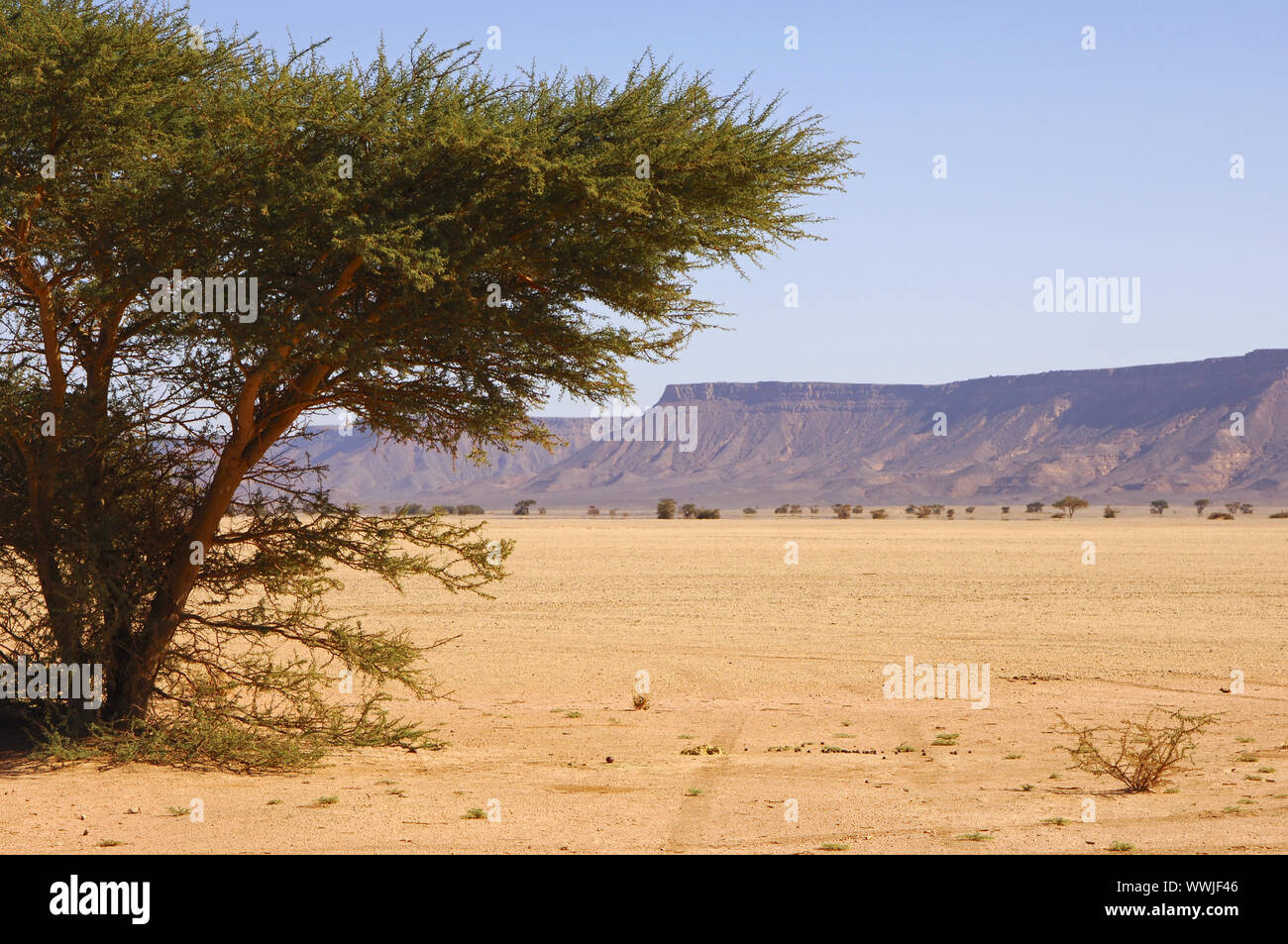 Dry valley at the foot of the Akakus Mountains near Al Awaynat Stock Photo