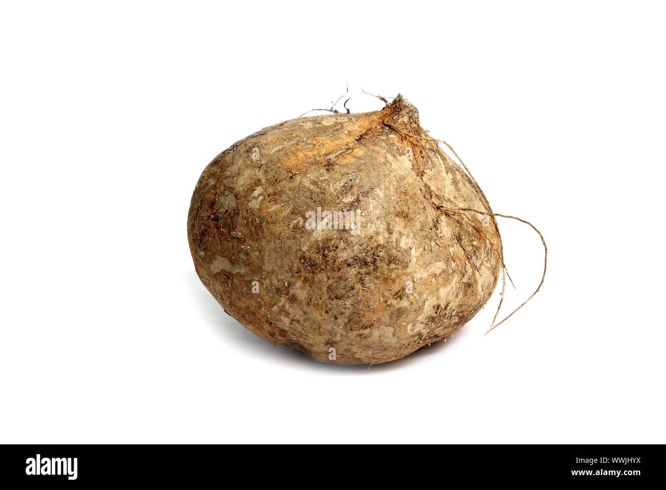 delicious jicama yam bean mexican food vegetable Stock Photo Alamy